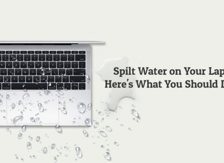 Spilt Water on Your Laptop? Here's What You Should Do Next