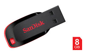 SanDisk Flash Drive – 8GB